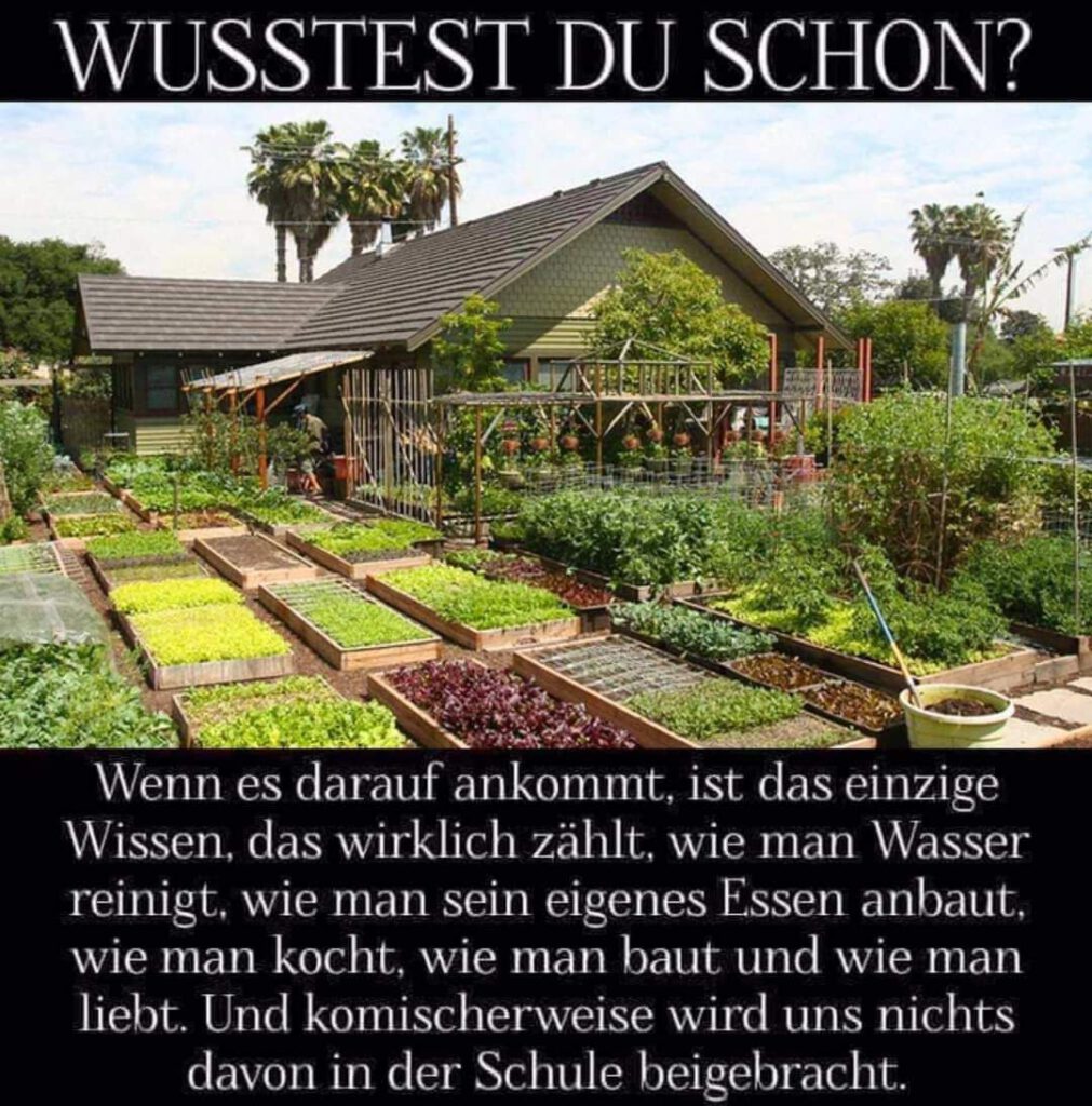 Nichts fürs Leben lernen wir.