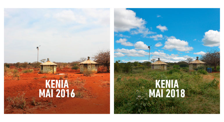 © justdiggit.org/de | Kenia Mai 2016 und Mai 2018